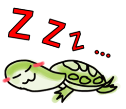 pritty red eared turtle sticker #2415661