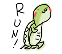 pritty red eared turtle sticker #2415689