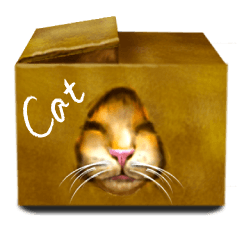 Growth phase of Loki the cat