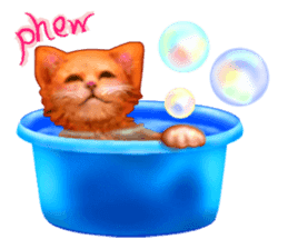 Growth phase of Loki the cat sticker #2416456