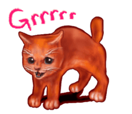 Growth phase of Loki the cat sticker #2416460