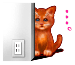 Growth phase of Loki the cat sticker #2416461