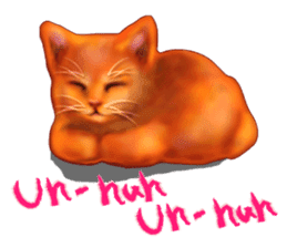 Growth phase of Loki the cat sticker #2416465