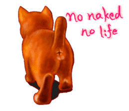 Growth phase of Loki the cat sticker #2416466