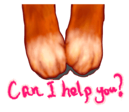 Growth phase of Loki the cat sticker #2416467