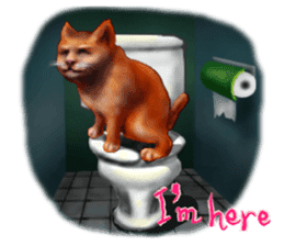 Growth phase of Loki the cat sticker #2416472