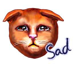 Growth phase of Loki the cat sticker #2416477