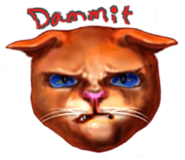 Growth phase of Loki the cat sticker #2416478