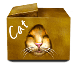 Growth phase of Loki the cat sticker #2416495