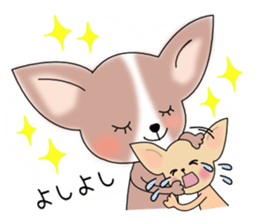 Talkative Smooth Coat Chihuahua PART2 sticker #2416867