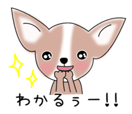 Talkative Smooth Coat Chihuahua PART2 sticker #2416882