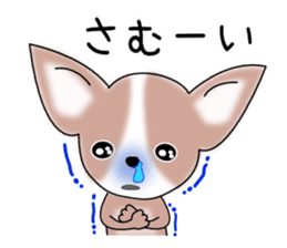 Talkative Smooth Coat Chihuahua PART2 sticker #2416890