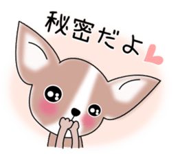 Talkative Smooth Coat Chihuahua PART2 sticker #2416892