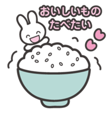 The shining stars with a white rabbit sticker #2416991