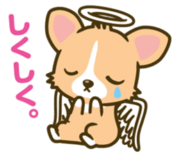 angel corgi & devil corgi sticker #2418112