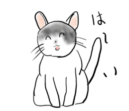 It is an idol's cat sticker #2418216