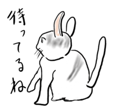 It is an idol's cat sticker #2418217