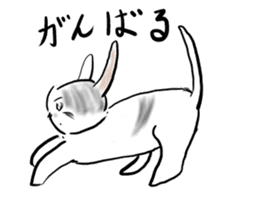 It is an idol's cat sticker #2418219