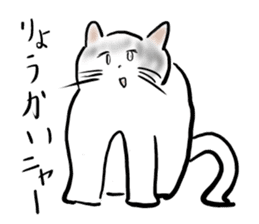 It is an idol's cat sticker #2418221