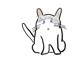 It is an idol's cat sticker #2418222