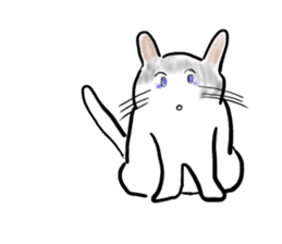 It is an idol's cat sticker #2418222