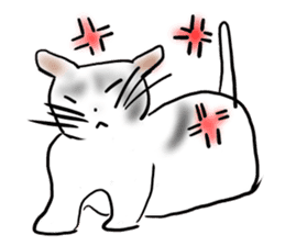 It is an idol's cat sticker #2418224