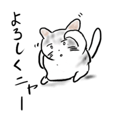 It is an idol's cat sticker #2418239