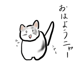 It is an idol's cat sticker #2418251