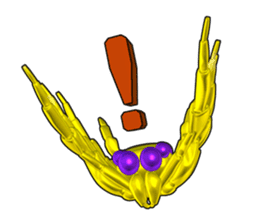 KUMONOSUKE of a golden spider sticker #2418941