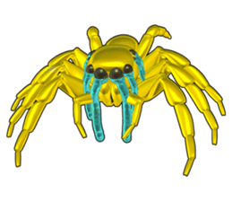 KUMONOSUKE of a golden spider sticker #2418964