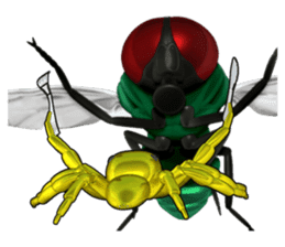 KUMONOSUKE of a golden spider sticker #2418968