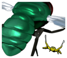 KUMONOSUKE of a golden spider sticker #2418969