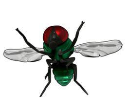 KUMONOSUKE of a golden spider sticker #2418970