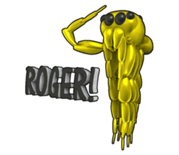 KUMONOSUKE of a golden spider sticker #2418971