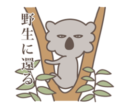 hateful koala sticker #2422655