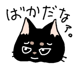 Cat party sticker #2424443