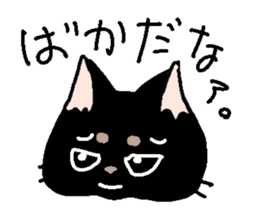 Cat party sticker #2424443