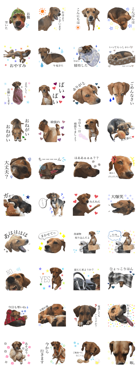 ビーグル犬の日常 Lineスタンプマニア クリエイターズスタンプ