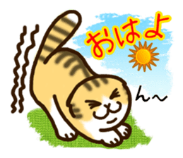 Full Nyun Cat sticker #2425193