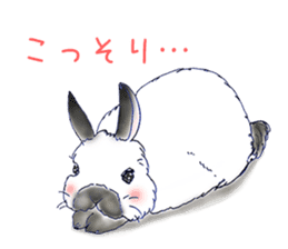 Small Rabbit and Star Flower sticker #2425950