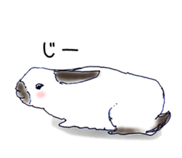 Small Rabbit and Star Flower sticker #2425955