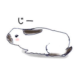 Small Rabbit and Star Flower sticker #2425955