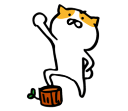 maruo of cat sticker #2426289