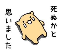 nyankuma sticker #2429435