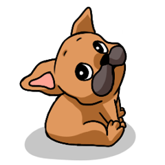 Cute Frenchbulldog(Buhi frenchie)