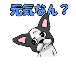 Cute Frenchbulldog(Buhi frenchie) sticker #2431218