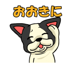 Cute Frenchbulldog(Buhi frenchie) sticker #2431227