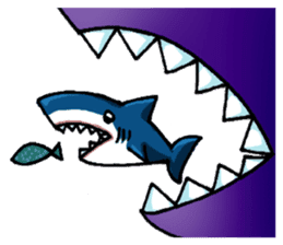 Daily Sharks sticker #2432866