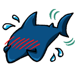 Daily Sharks sticker #2432870