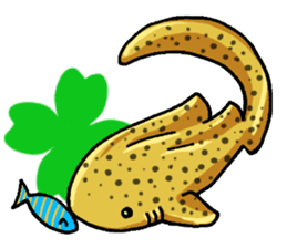 Daily Sharks sticker #2432884